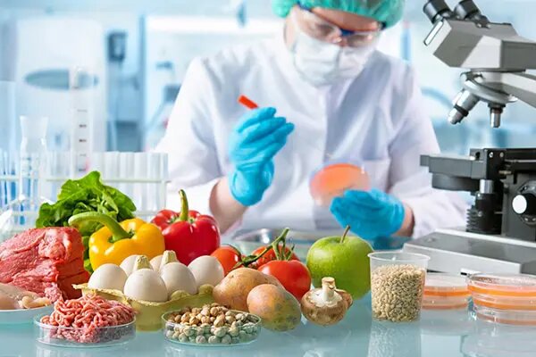 Food Safety Mentor project preview